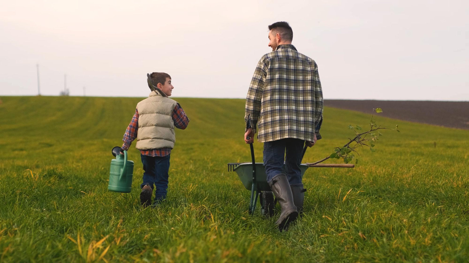 A father and son walk in a field where they grow nursery plants. Blue Meadow is Family Owned & Operated.