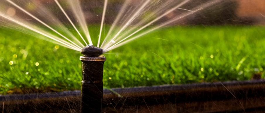 automatic sprinkler system watering the lawn on a background of green grass, close-up