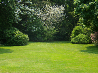 A beautiful lush lawn on a sprawling tourist attraction that is managed by Blue Meadow Landscaping in Victoria, BC