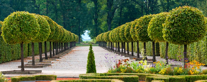 A tree garden pathway on a large residence that is tree pruning by Blue Meadow Landscaping in Victoria, BC
