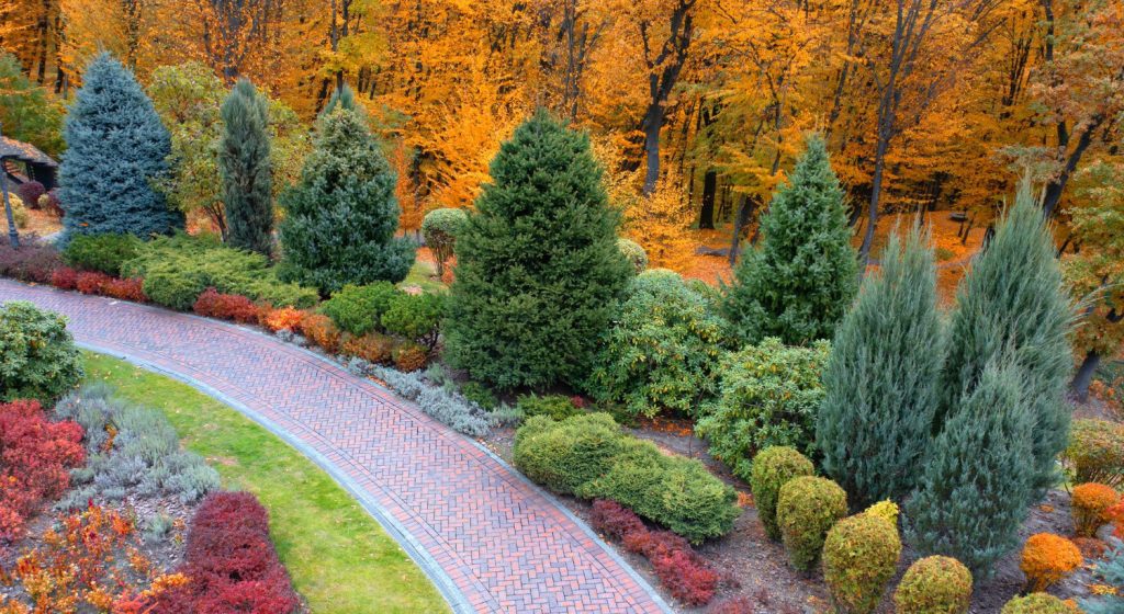 A professionally landscaped forest pathway through a commercial garden.