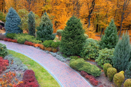 A professionally landscaped forest pathway through a commercial garden.