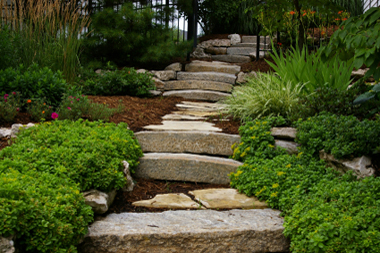 A nice outdoor stone stair way that meanders peacefully through a natural Victoria garden space.
